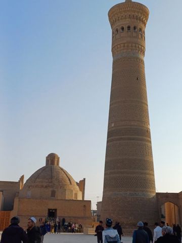 128.jpg