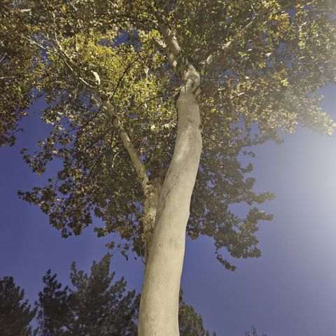 132.jpg