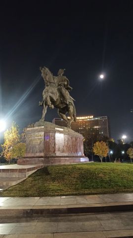 153.jpg