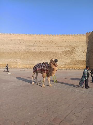 167.jpg