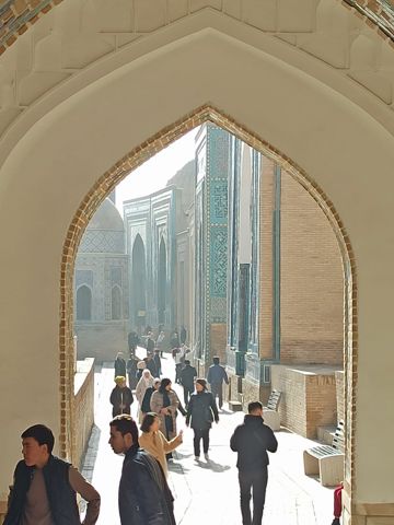 178.jpg