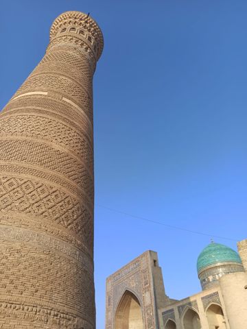 186.jpg
