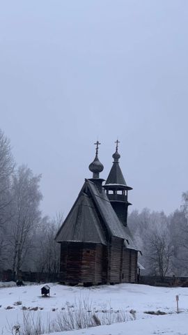 113.jpg