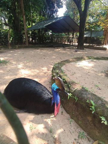 097.jpg