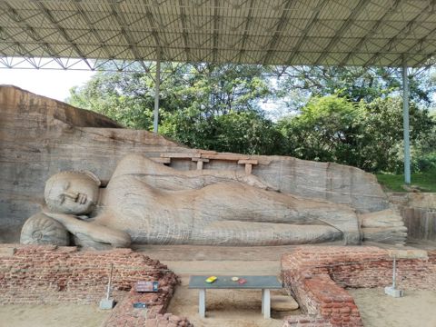 119.jpg