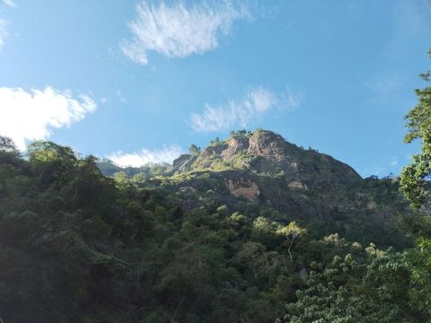 129.jpg