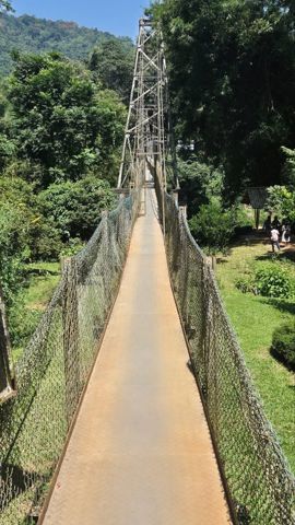 155.jpg