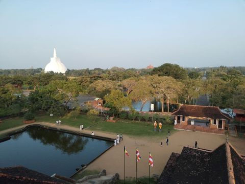 164.jpg