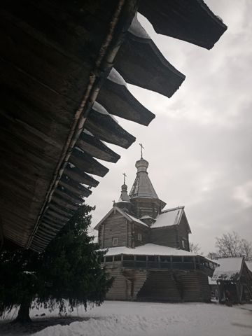 46.jpg