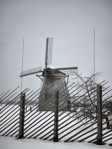 85.jpg