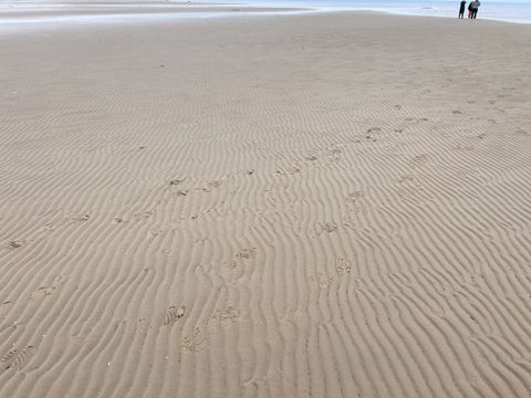 052.jpg