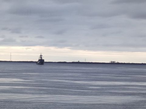 115.jpg