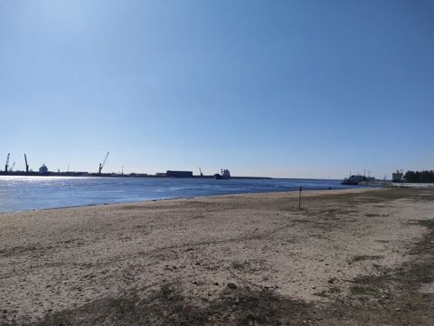 123.jpg