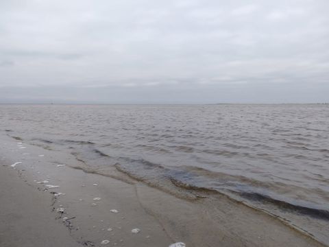 145.jpg