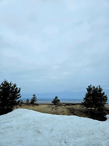 156.jpg
