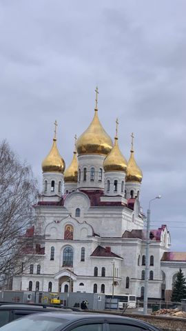 175.jpg