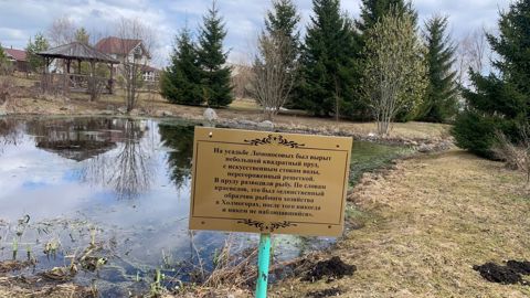 177.jpg