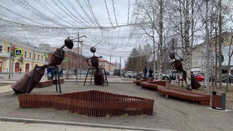 186.jpg