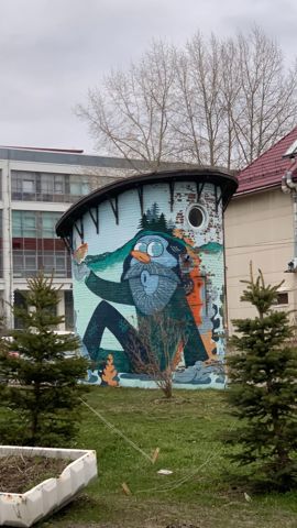 187.jpg