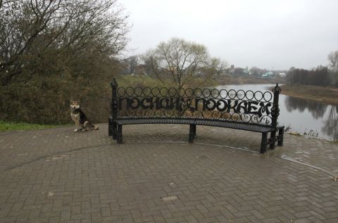 09.jpg