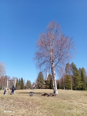 200.jpg