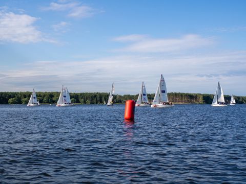 135.jpg