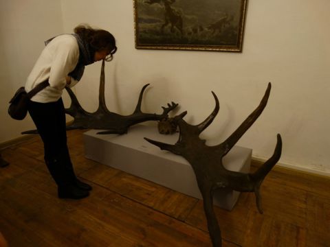 07.jpg