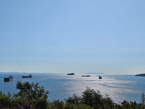 072.jpg