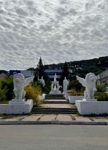 117.jpg