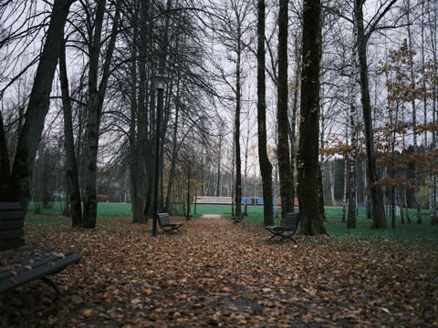 DSCF4269.jpg