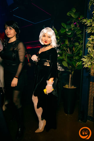 DSC_8586.JPG