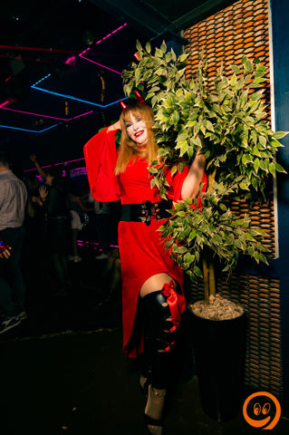 DSC_8998.JPG