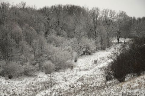 09.jpg