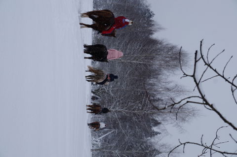 DSC00931.JPG