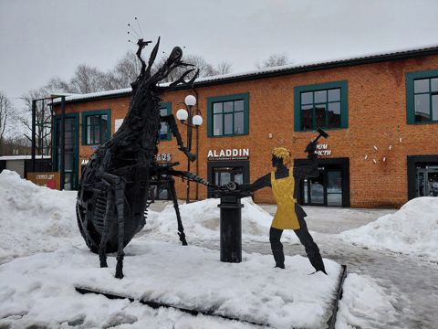 IMAGE 2026-02-19 121157.jpg