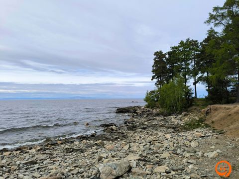 IMG_20260619_125816v.jpg
