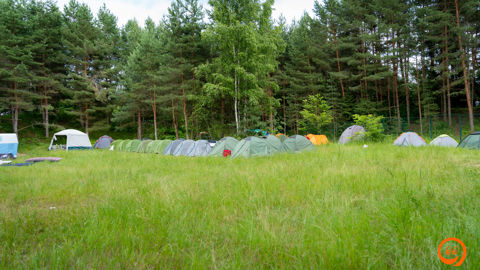 DSC01906.jpg