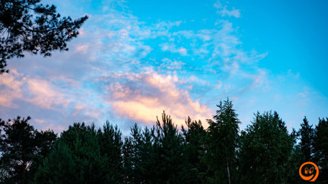DSC02193.jpg