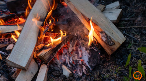 DSC02213.jpg