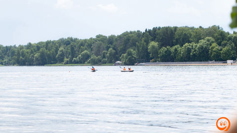 DSC03008.jpg
