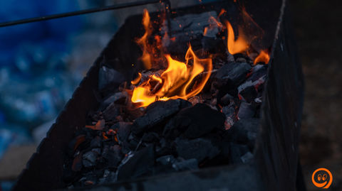 DSC03561.jpg