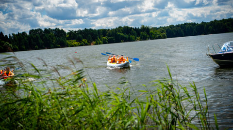 DSC03623.jpg