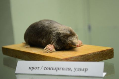 104.jpg