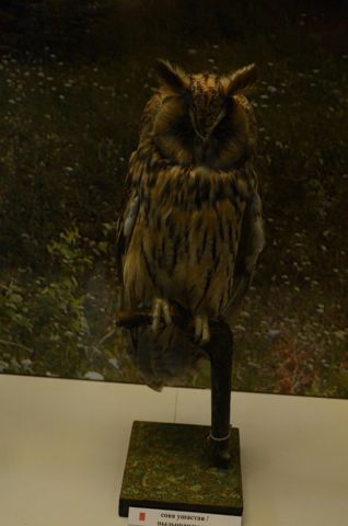 107.jpg