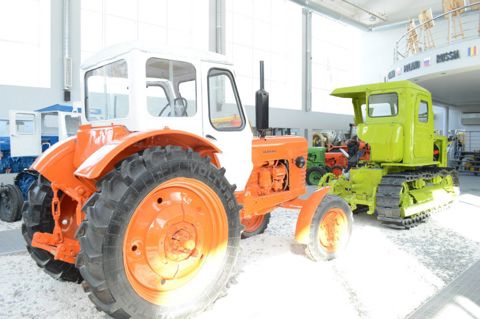 191.jpg