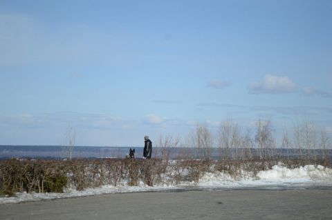 215.jpg