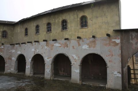 097.jpg