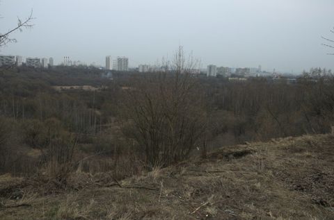 129.jpg