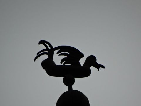 225.jpg