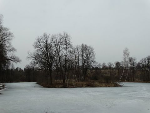 237.jpg